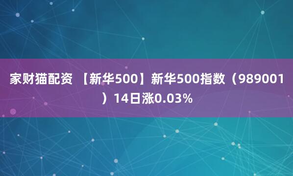 家财猫配资 【新华500】新华500指数(989001)14日涨0.03%