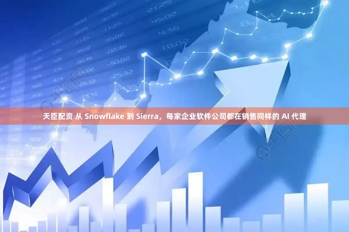 天臣配资 从 Snowflake 到 Sierra，每家企业软件公司都在销售同样的 AI 代理